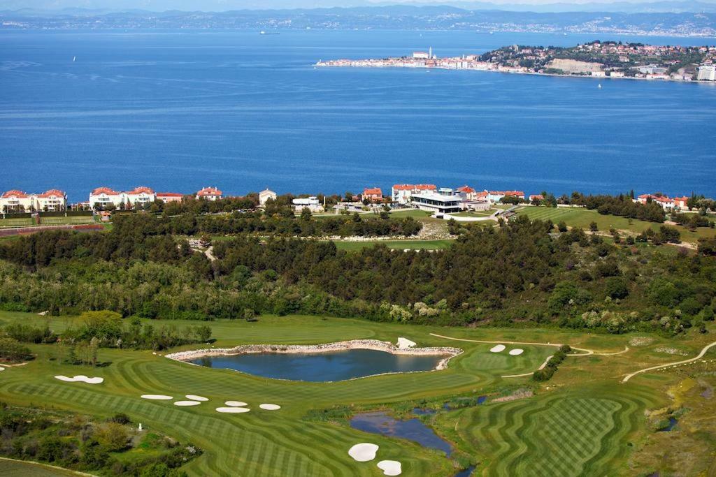 Apartment Golf 克尔维尼维赫 外观 照片
